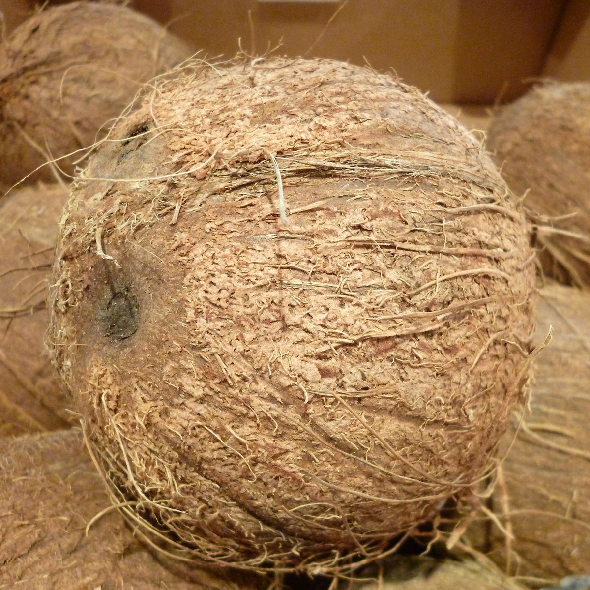 Everything You Need to Know About Coconut