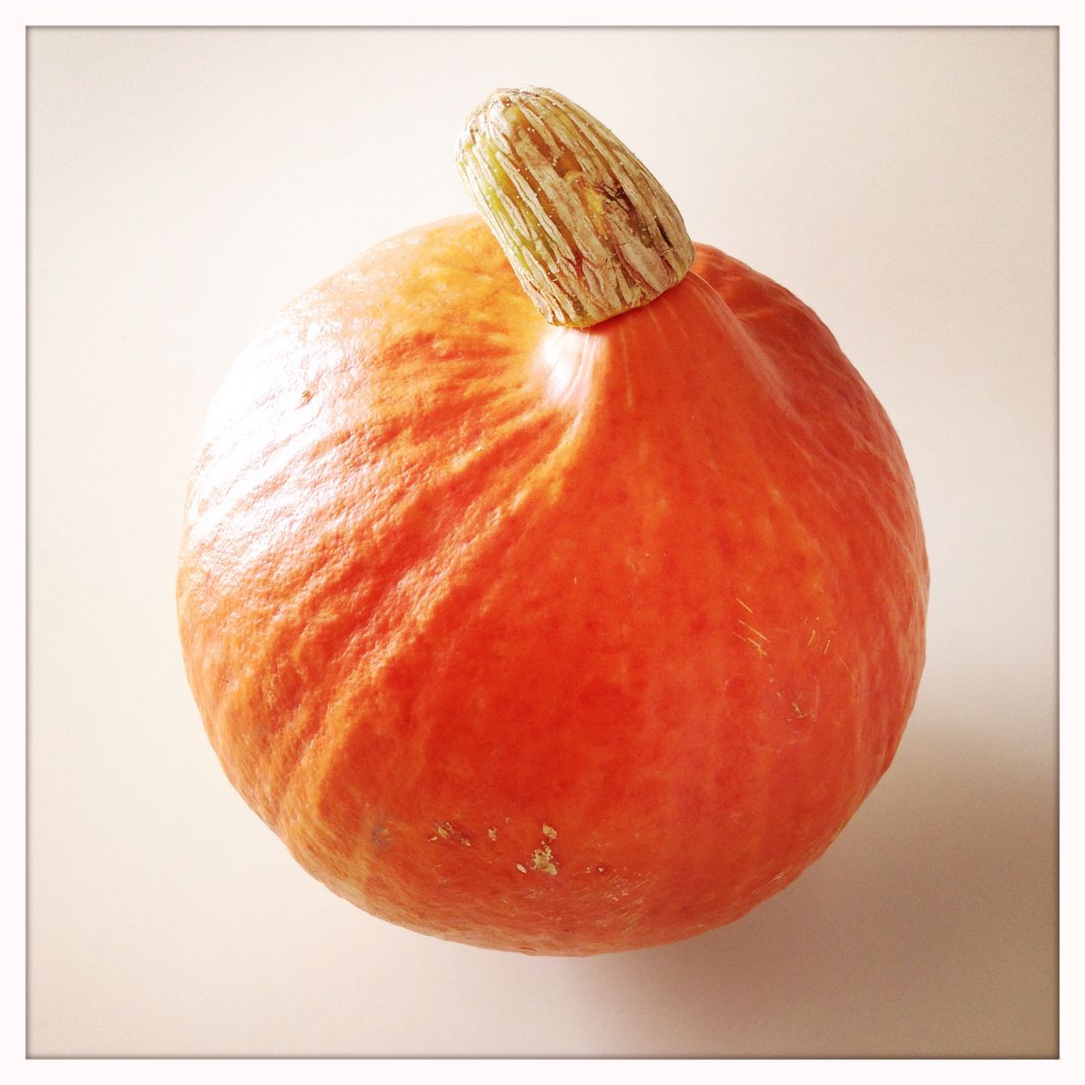 Is Pumpkin Low-Carb Friendly? The LOGI Verdict